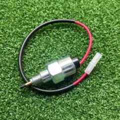 Briggs & Stratton Fuel Solenoid 692094