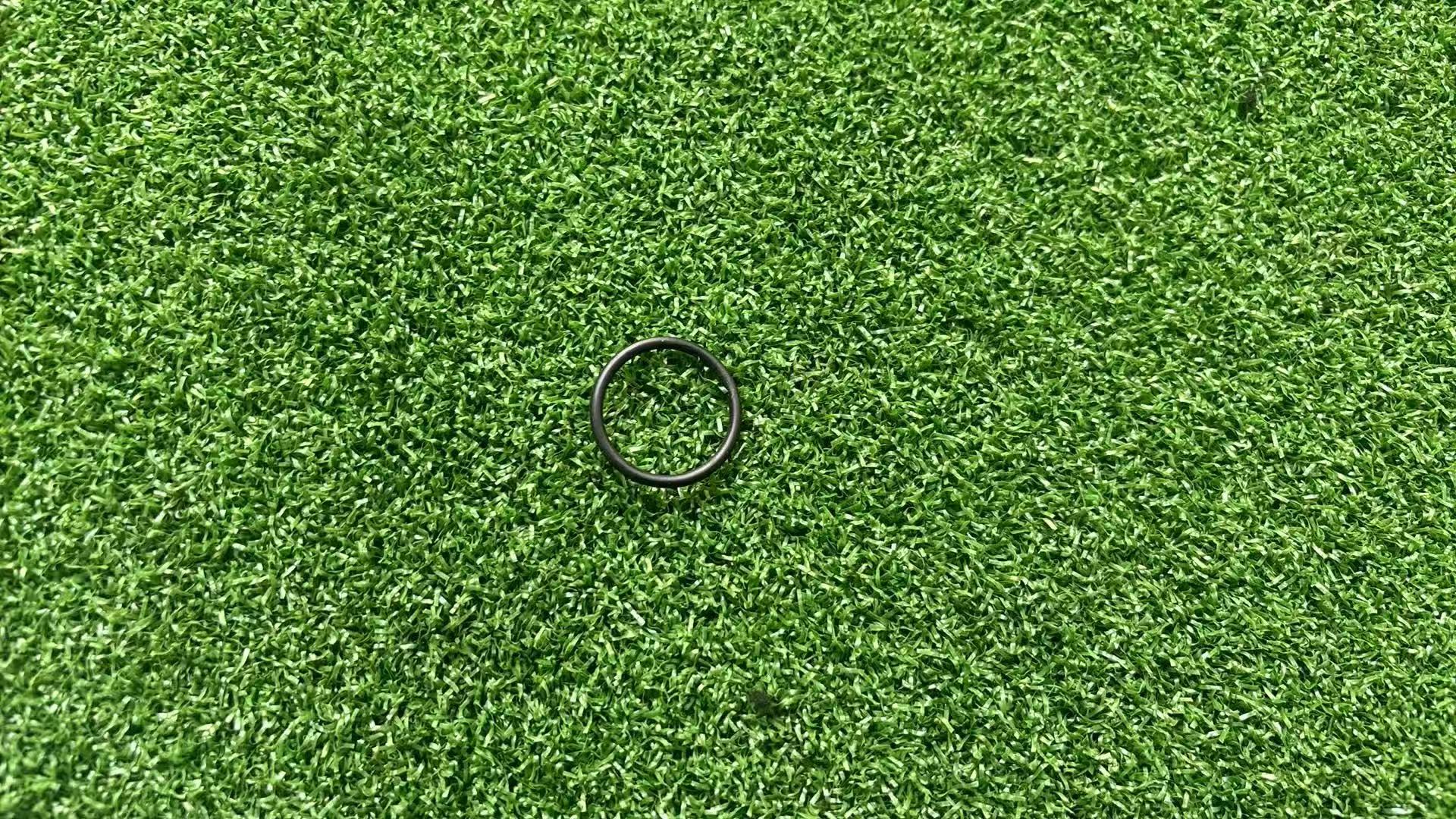 O-Ring